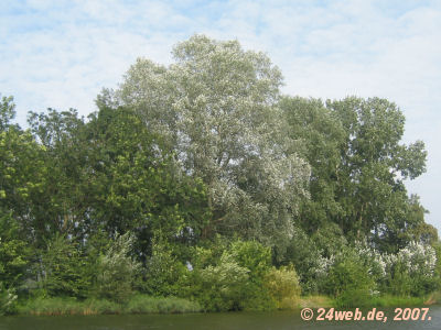 Sacrow-Paretzer Kanal